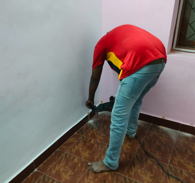 Cockroach Control Service in Adyar