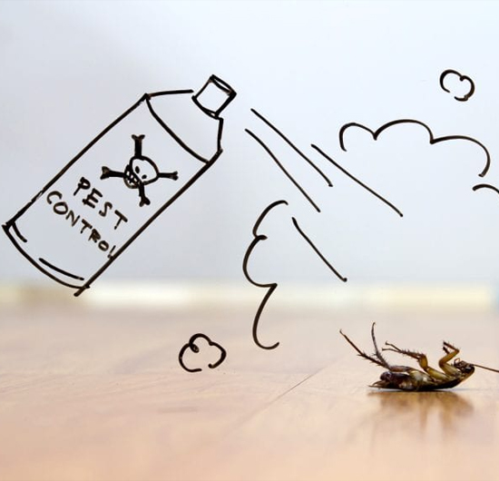 Cockroach Control Service in Royapettah