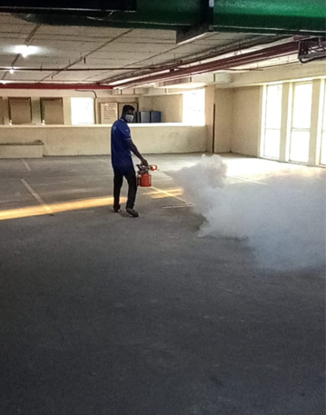 NO.1 Pest Control Service in Mylapore