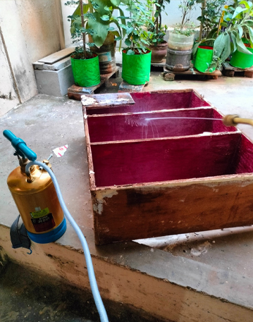 Pest Control Service in Chenani 