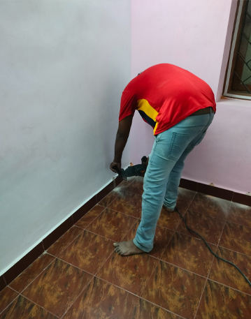 Pest Control Service in Mylapore