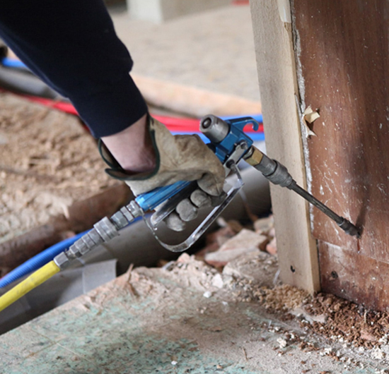 Termite Control Service in Royapettah