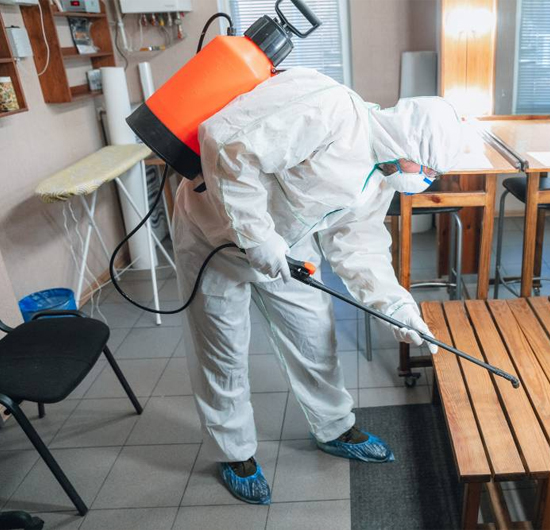 Termite Control Service in Kodambakkam