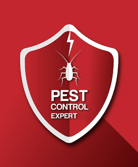 Triplicane Pest Control Service
