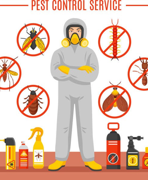 Termite Control Service in Mylapore