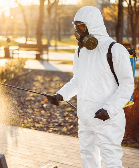 Best Pest Control Service in Mandaveli